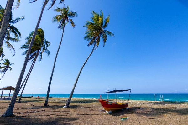 Salle de réception mariage à nans les pins : votre choix idéal