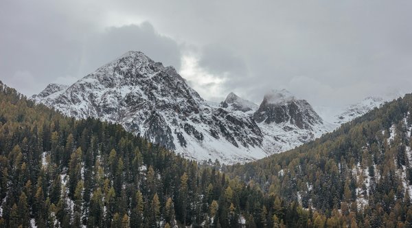 Où trouver les plus beaux sentiers de randonnée pour voir les paysages alpins en Suisse?