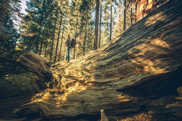 Comment préparer une visite des grottes préhistoriques de Chauvet, France?