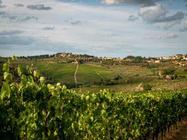 Comment choisir une croisière qui propose des visites des vignobles en Toscane?